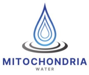 mitochondria water